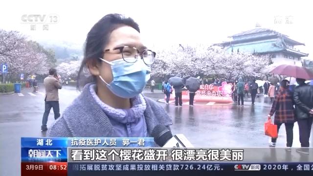 关注！大批游客打卡武汉大学樱花