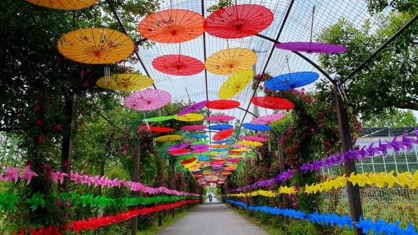 上海五一旅游