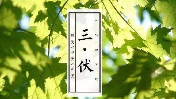 夏令必备解暑药