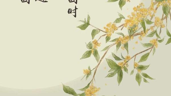 关于中秋节新闻稿范文（精选）