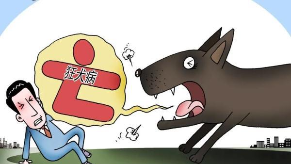 世界狂犬病日宣传资料