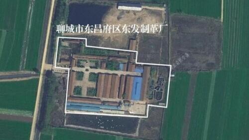 关于污染的调查报告
