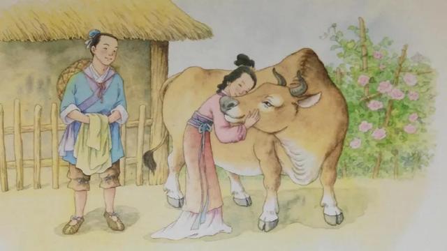 善解人意近义词大全