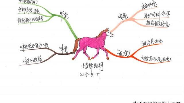 游长隆海洋王国作文精选