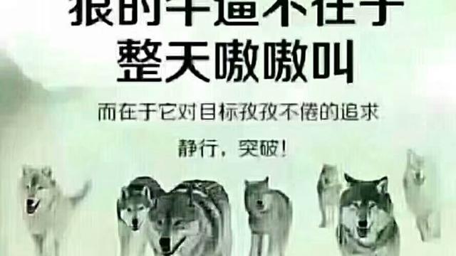 学习保险培训心得10篇