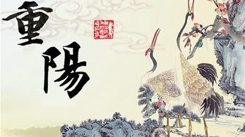 关于重阳节的诗词大全