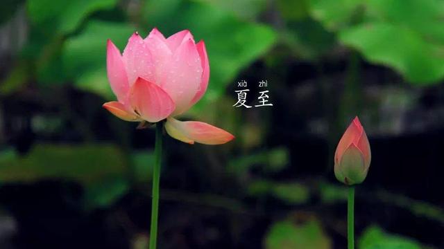 夏至的诗句