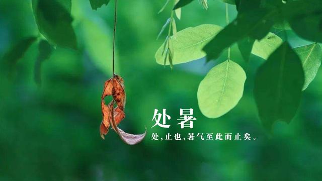 关于处暑的古诗30首