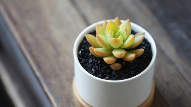 上天赏赐的土地作文