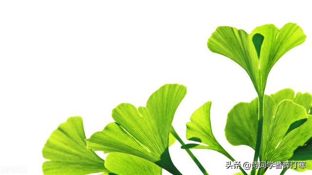 写春的诗句有哪些简短