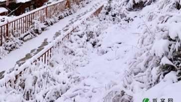 雪景写景作文