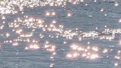 520官宣领证文案大全