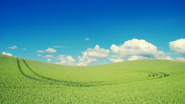 写字楼装修合同范本