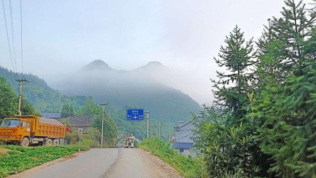 清晨公园鸟叫的诗句
