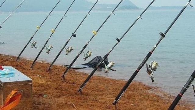 冬天钓淡水鱼有啥好方法