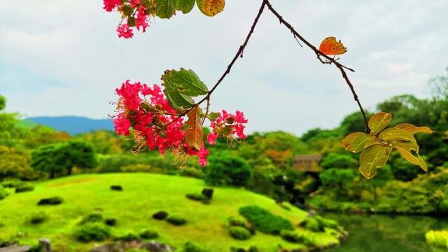 春天播种秋天收获诗句