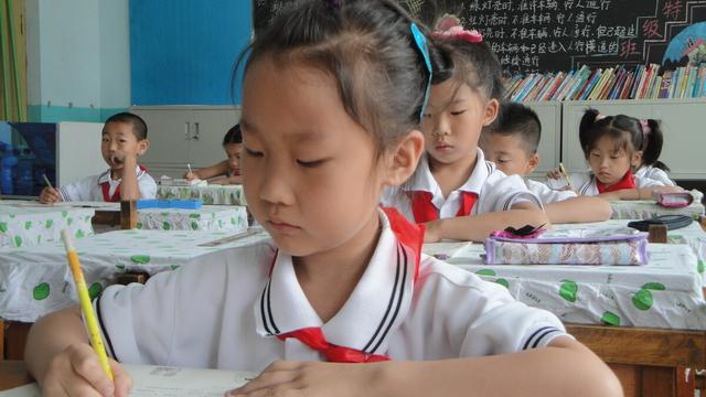 语文课外活动总结集合