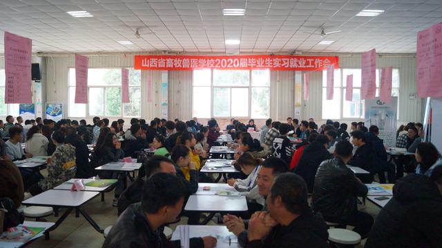 畜牧站实习日记