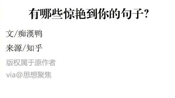 知乎驚艷的詞句