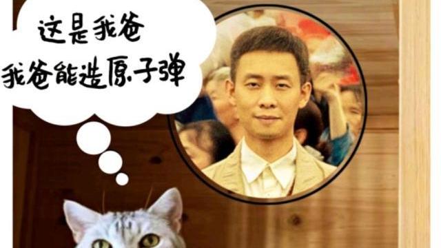 “小太爷”张译,观众和猫的侍者