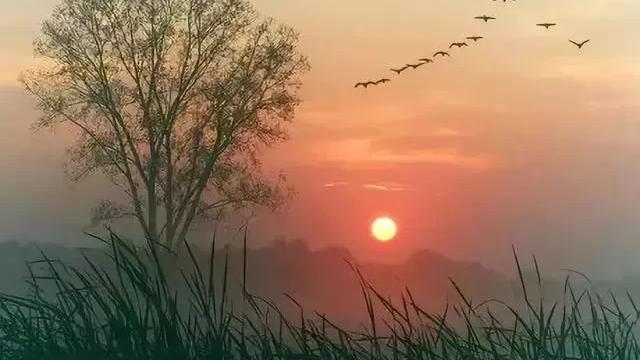 夕阳的诗句和优美句子