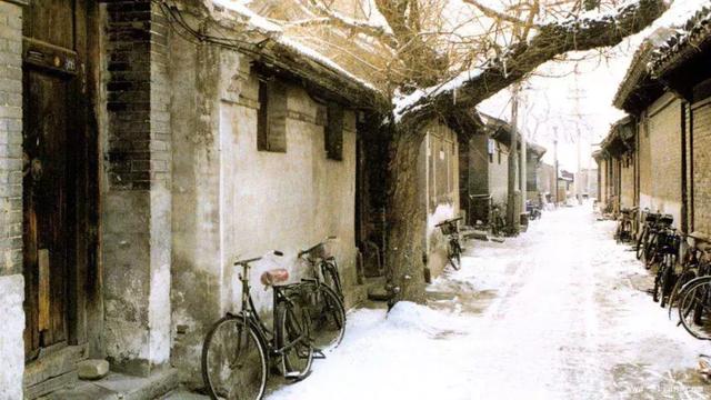《老王》杨绛