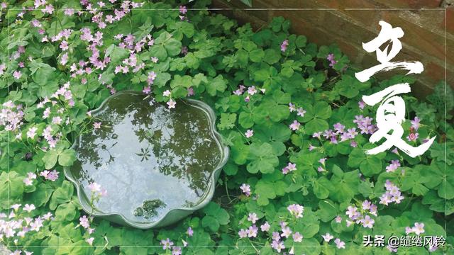 关于立夏最著名的古诗