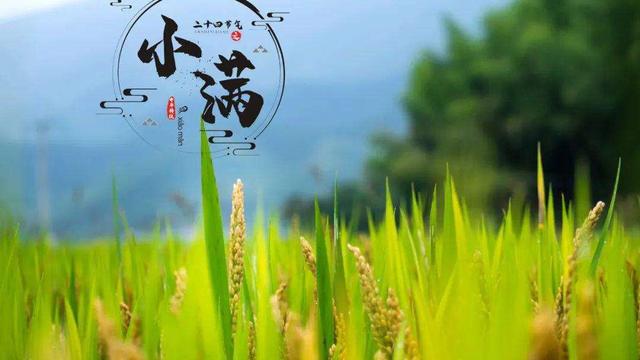 关于小满的诗