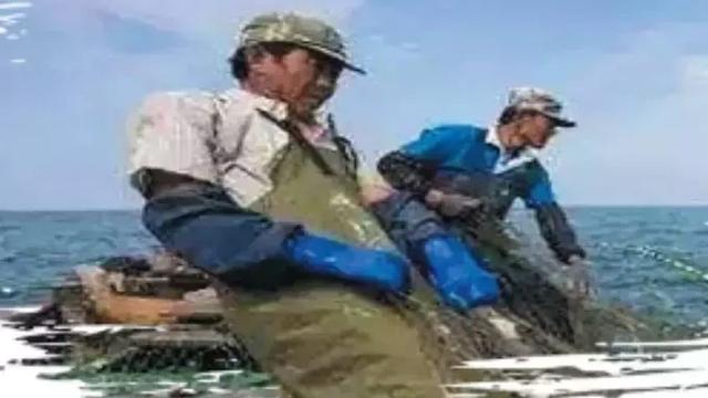 东台海边怎么去