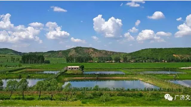 乡村夏景作文