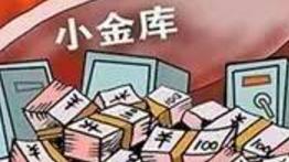 小金库自查报告（通用）