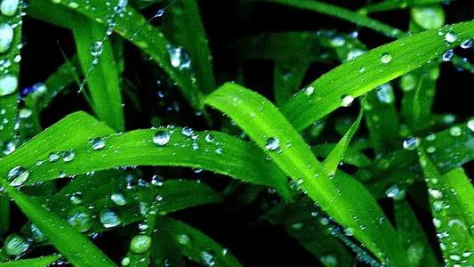 母亲节的诗歌朗诵简短