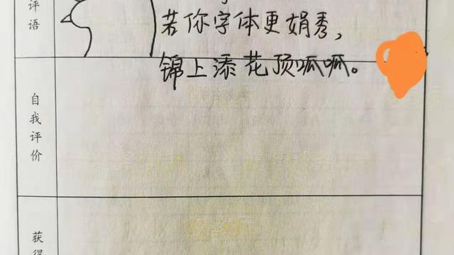 音乐导师评语