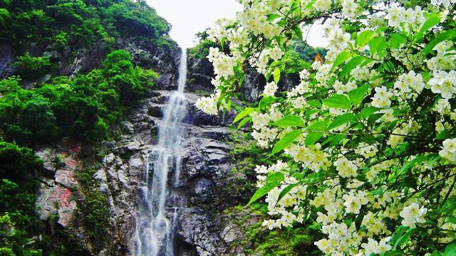 风声雨声雷声的句子