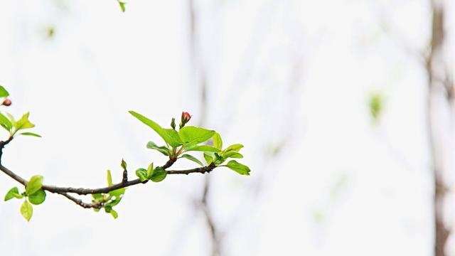 秋高气爽的造句合集