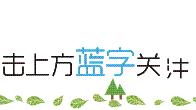 用似乎造句
