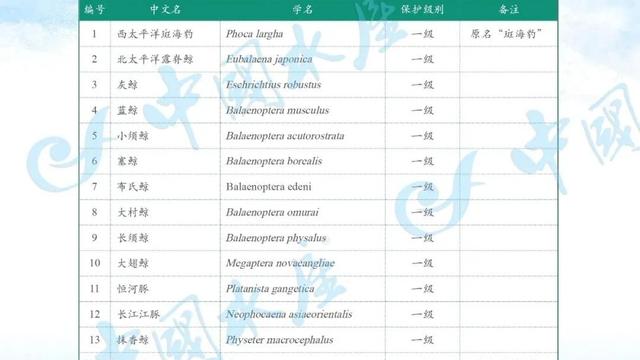 水生野生动物科普知识