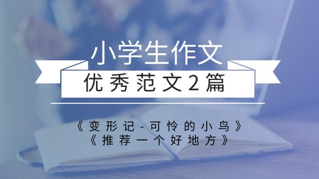 描写小松鼠的作文左右