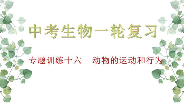 先天性行为和学习行为10篇