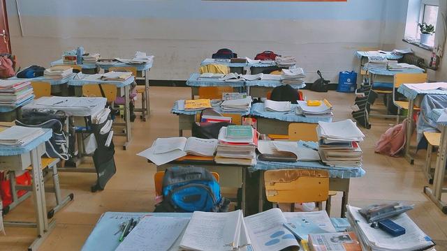 我的小学同桌作文精选