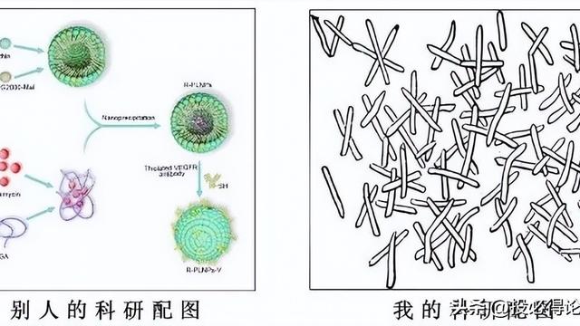 多媒体作品制作及工具选择