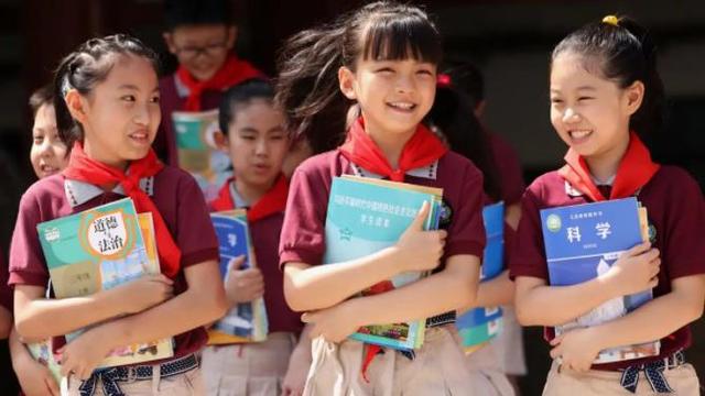 小学教辅资料自查报告通用