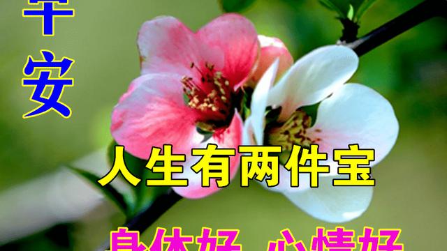 【必备】真诚的早安心语朋友圈