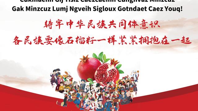 有关最新中国公民民族成份登记管理办法