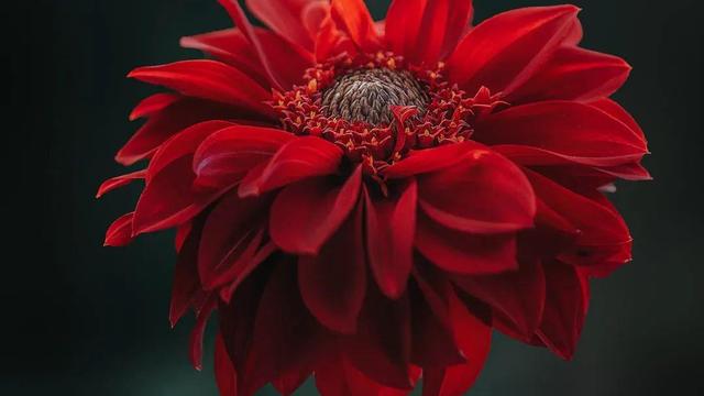 考研网上确认审核结果及注意事项