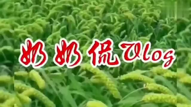 比喻歌声好听的优美句子