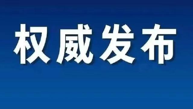 预算执行审计报告10篇