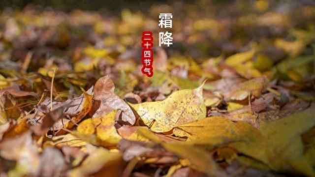 霜降文案干净治愈大全