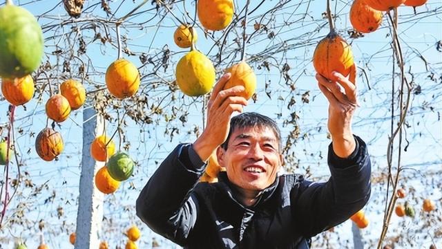 鸡蛋里挑骨头歇后语