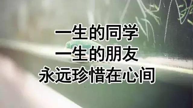 同窗情作文500字优秀